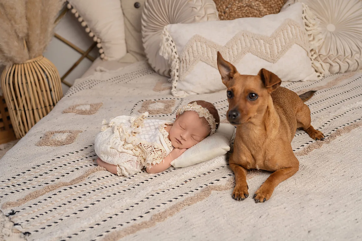 Newborn-Fotografie – zeitloses Porträt im Studio
